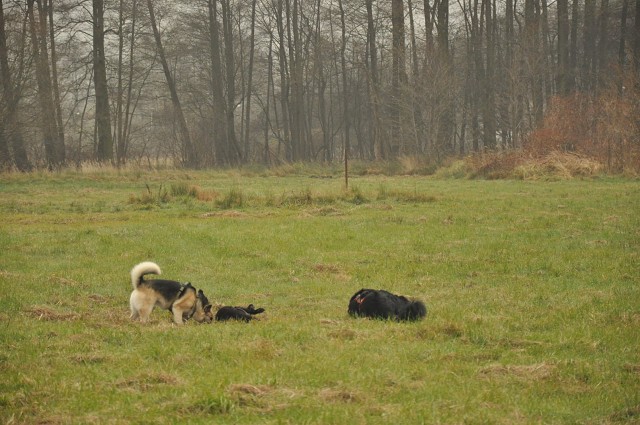 256798103 407546557743215 8150975760849011392 N