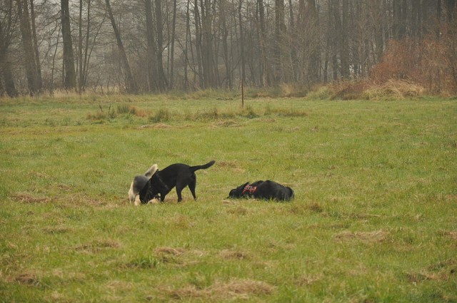 256808065 407546627743208 4677454772096164434 N