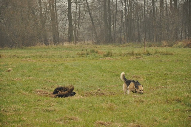 256822112 407546741076530 707143437734614001 N