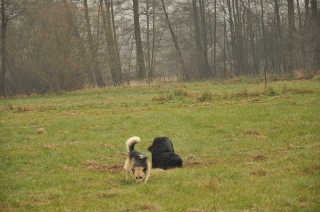 256862274 407546847743186 8663416735038962465 N