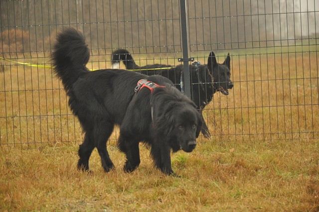 256910549 407543117743559 8754113361653652645 N