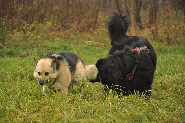 257100986 407546307743240 3169295769804300805 N