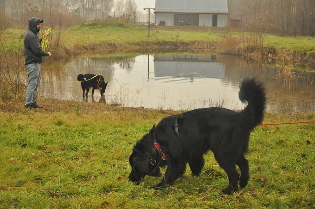 257101164 407546001076604 2844350151326291515 N