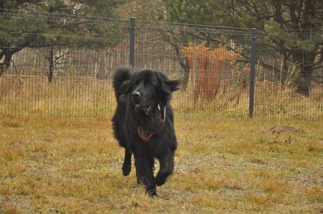 257115173 407545207743350 2786768036514109311 N