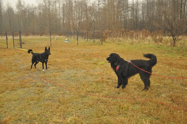 257179213 407543881076816 8376628667404681660 N