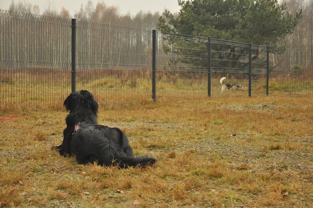 257281770 407545564409981 1899513098473448644 N