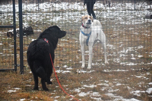 262428843 418161696681701 8970808174196582270 N