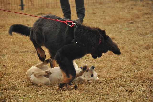 271047476 5413449818670424 6689027227650293767 N