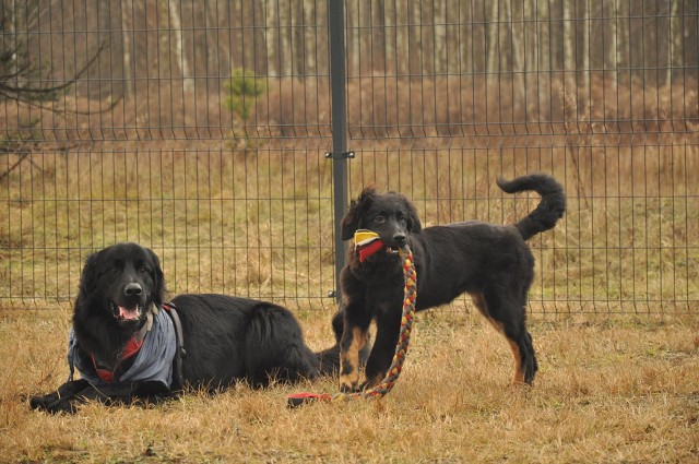 271116602 5413457982002941 507298962393225013 N