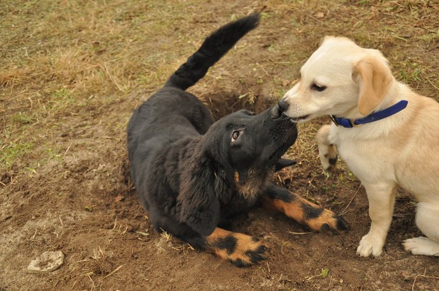 271128015 5413456678669738 3597398787973456156 N