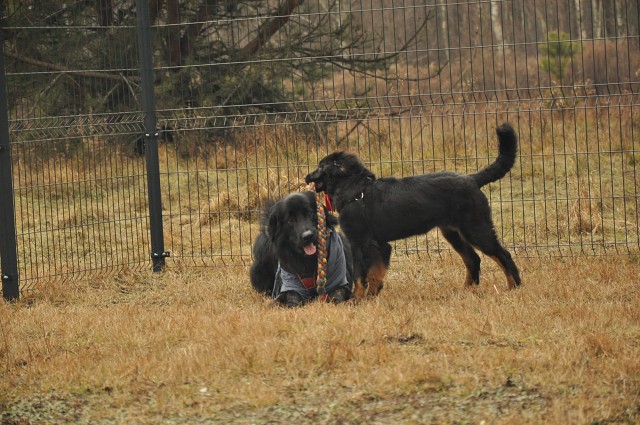 271128854 5413454408669965 7658783006680083733 N