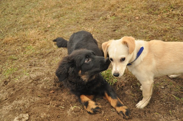 271138806 5413456262003113 520725825009339951 N