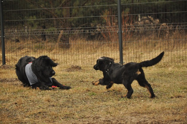 271140649 5413457455336327 6739471224660573681 N