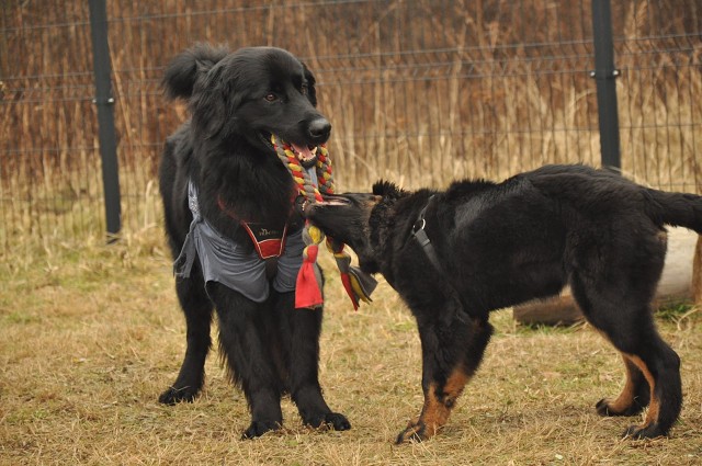 271141493 5413450888670317 6354238742727590828 N