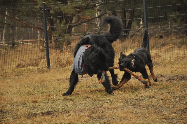 271141971 5413457558669650 1866452894246877432 N