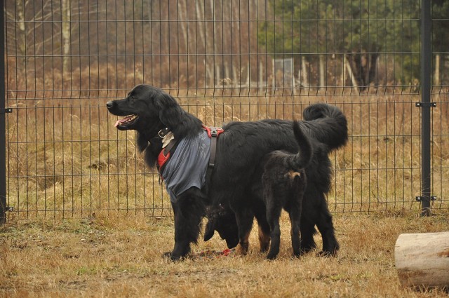 271142686 5413457108669695 7889441552997903714 N