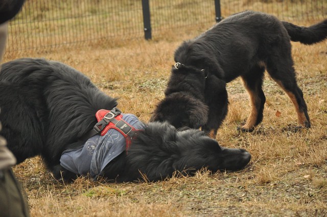 271143710 5413450868670319 5447365310289242193 N