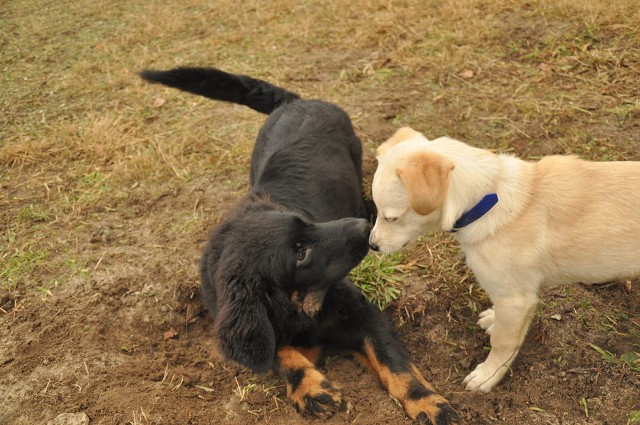 271143729 5413455902003149 6156987073250357197 N