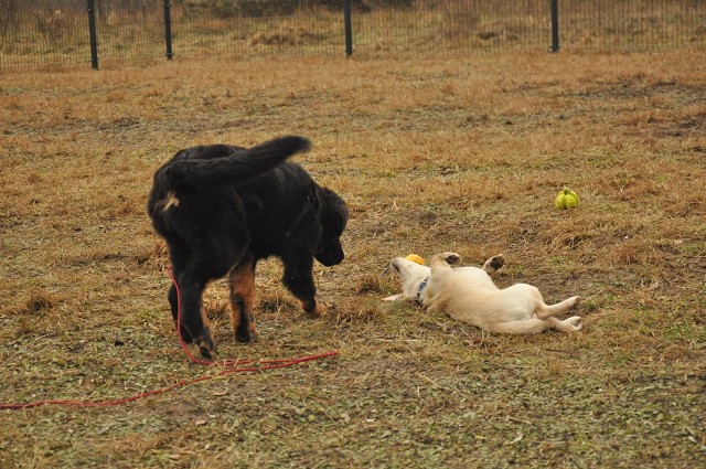 271144210 5413454498669956 6825300956181413458 N