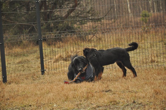 271144219 5413454395336633 6875712031675868238 N