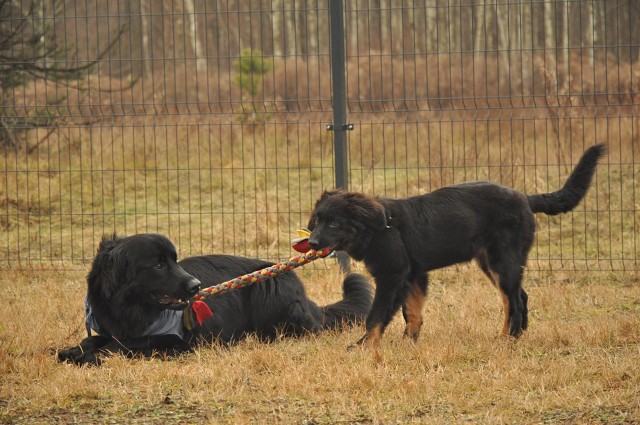 271144223 5413457742002965 7893029689161785717 N