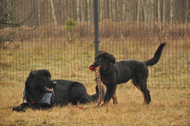 271144784 5413457895336283 1379770265927972021 N