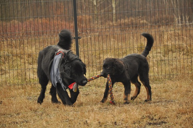 271145632 5413457278669678 8460865918140387208 N