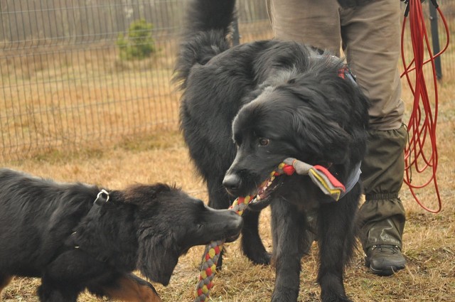 271147973 5413450788670327 1687416744036795614 N