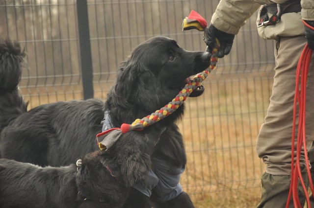 271148628 5413449385337134 6347323279415076636 N