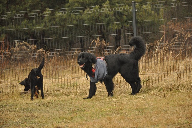 271148638 5413454925336580 5741070421372842858 N