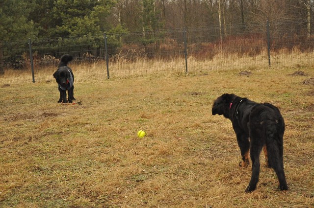 271149035 5413454578669948 7449345675183049427 N