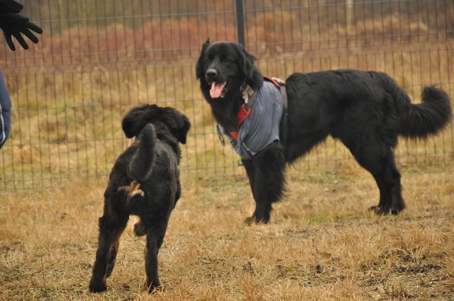 271149801 5413452172003522 4977977194979037301 N