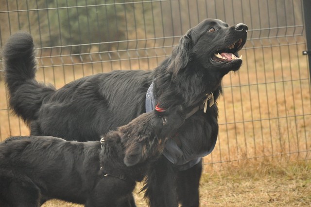 271149806 5413449345337138 5606913604468508336 N