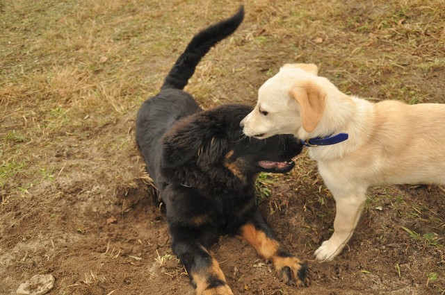 271149833 5413456342003105 6886625827727408324 N