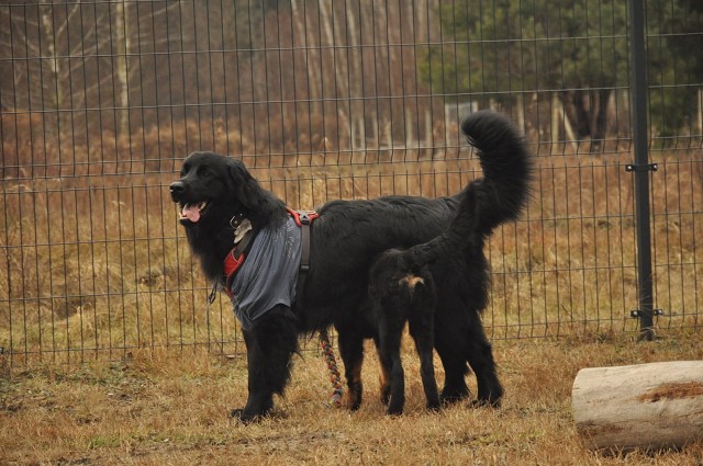 271150465 5413457015336371 5478948360106407750 N