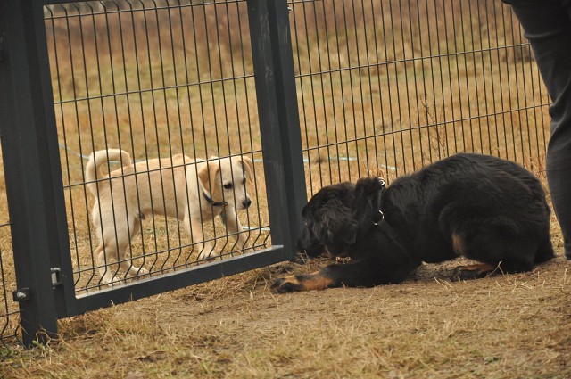 271150467 5413454182003321 411308087236678857 N