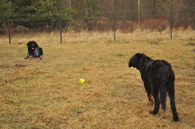 271150561 5413455125336560 6991709712804127090 N