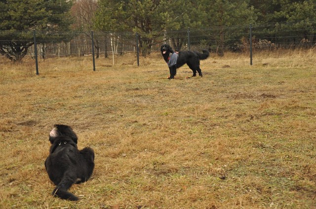 271150574 5413455495336523 3479362381308241600 N