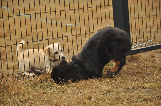 271150866 5413454762003263 7120691637626612150 N