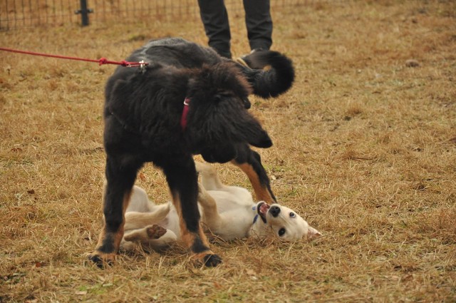 271151158 5413455325336540 8068313938754424546 N