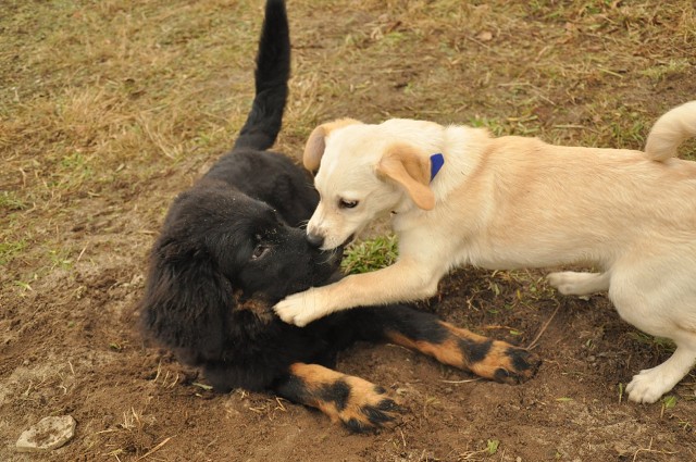 271151935 5413449825337090 1561374261141620538 N