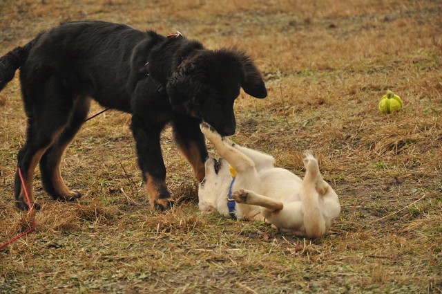 271152013 5413454782003261 7698354548357810432 N