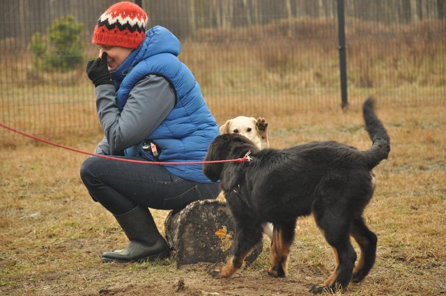 271152243 5413450785336994 5427171918330340367 N