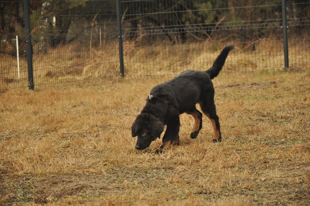 271152243 5413454312003308 4078385938042277298 N