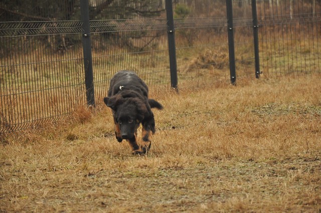 271153639 5413453648670041 6343300491655294296 N