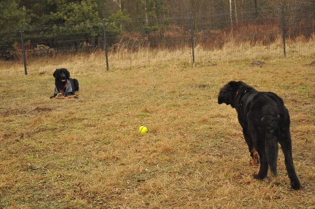 271154515 5413454822003257 8345351716302492587 N