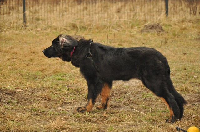 271154652 5413457385336334 6377192889313669567 N