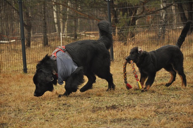 271157173 5413457605336312 9085498865573634197 N