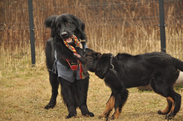 271157434 5413451555336917 3714396248410397492 N