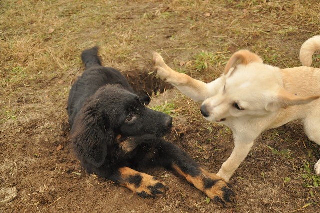 271157804 5413456588669747 3591181070960468270 N